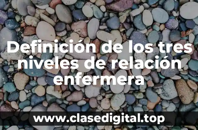 Definición de los tres niveles de relación enfermera