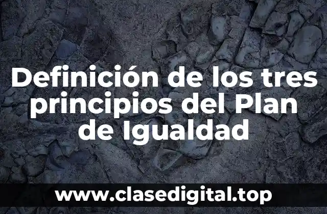 Definición de los tres principios del Plan de Igualdad