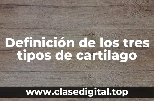 Definición de los tres tipos de cartilago