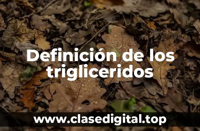 Definición de los trigliceridos
