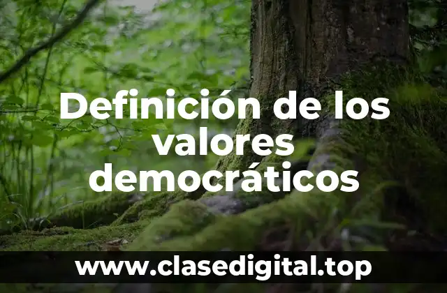 Definición de los valores democráticos