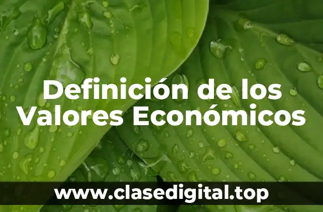 Definición de los Valores Económicos
