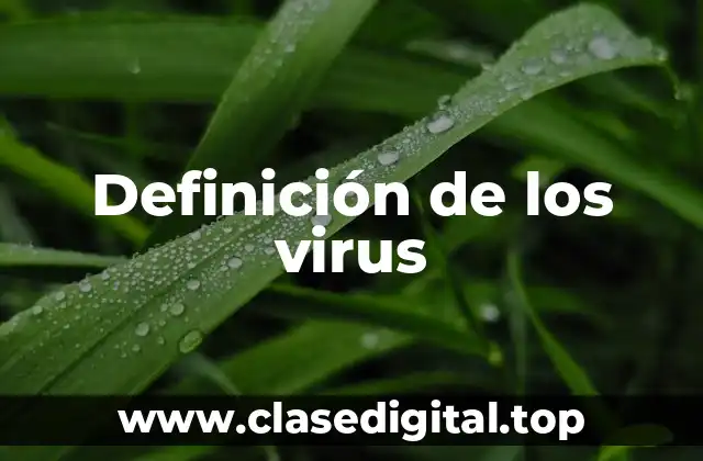 Definición de los virus