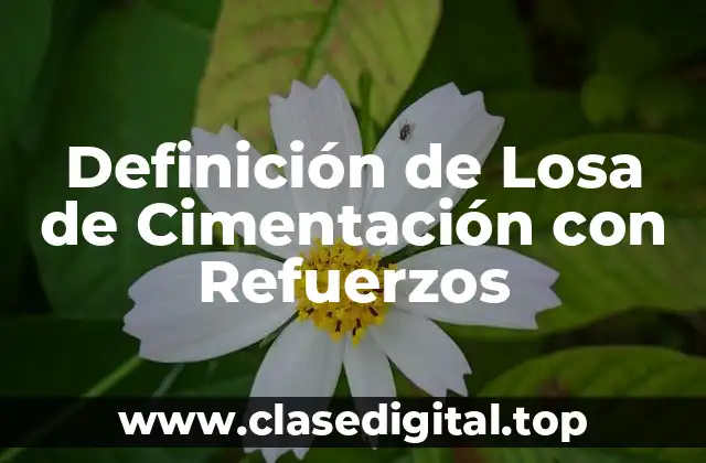 Definición de Losa de Cimentación con Refuerzos
