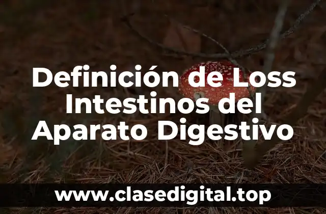 Definición de Loss Intestinos del Aparato Digestivo