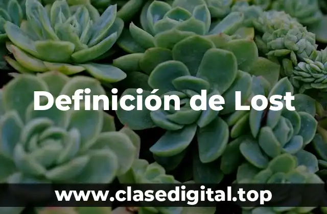 Definición de Lost
