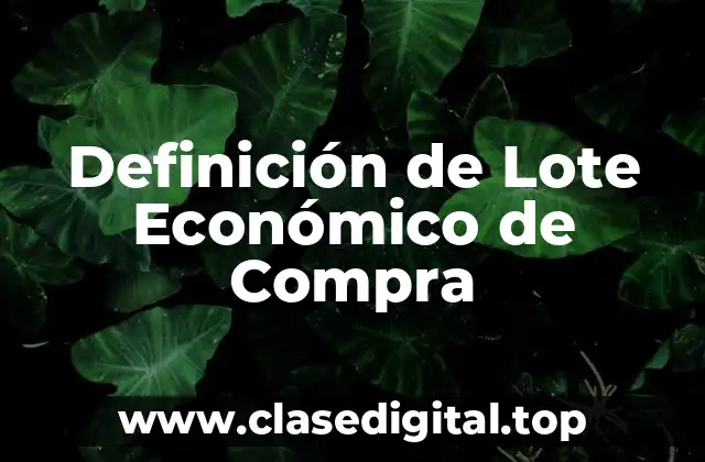 Definición de Lote Económico de Compra