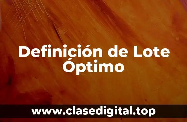 Definición de Lote Óptimo