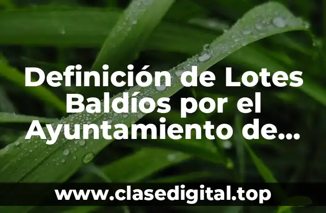 Definición de Lotes Baldíos por el Ayuntamiento de Mérida