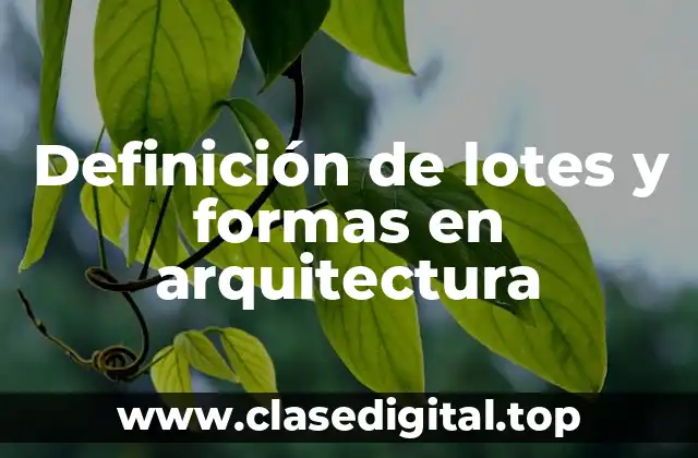 Definición de lotes y formas en arquitectura