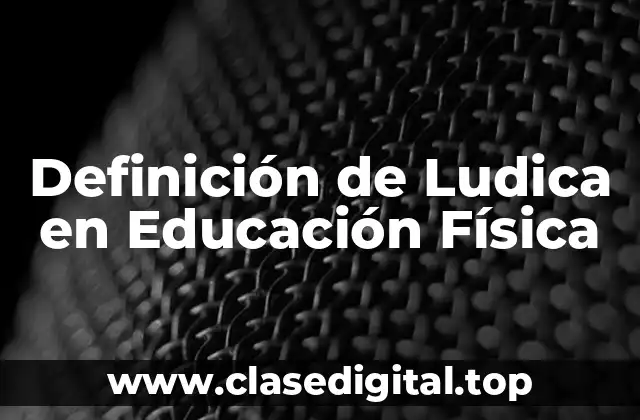 Definición de Ludica en Educación Física
