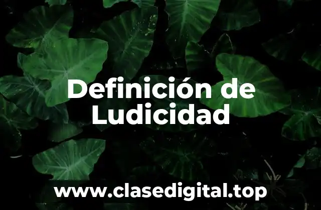 Definición de Ludicidad