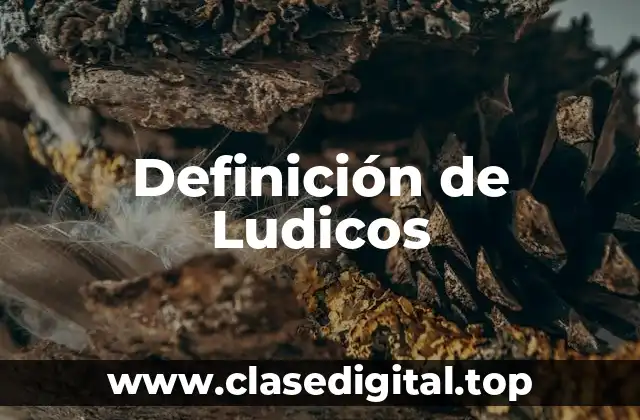 Definición de Ludicos