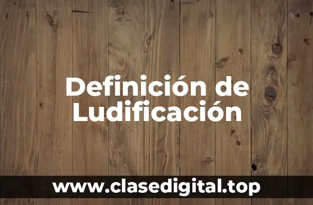 Definición de Ludificación