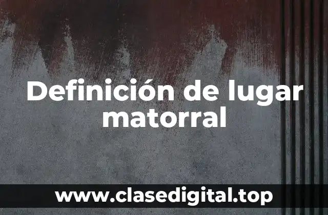 Definición de lugar matorral