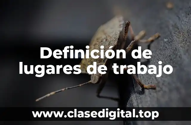 Definición técnica de lugar de trabajo