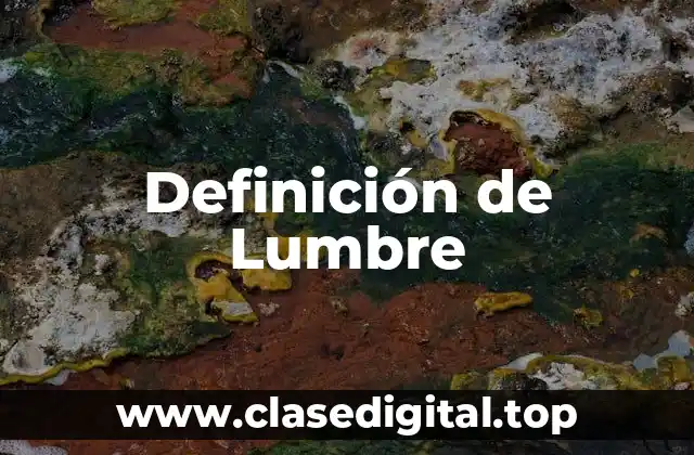 Definición de Lumbre