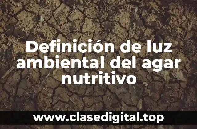 Definición de luz ambiental del agar nutritivo