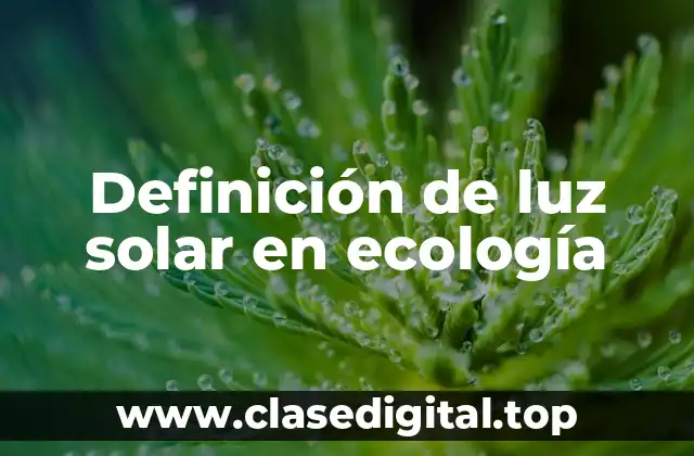 Definición de luz solar en ecología