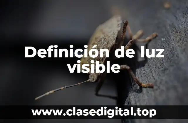 Definición técnica de luz visible