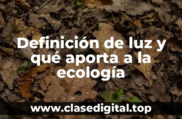 Definición de luz y qué aporta a la ecología