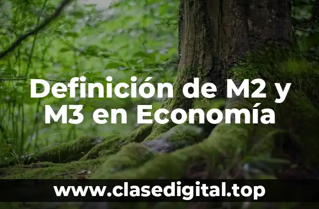 Definición de M2 y M3 en Economía