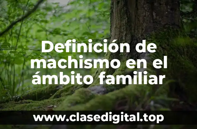 Definición de machismo en el ámbito familiar
