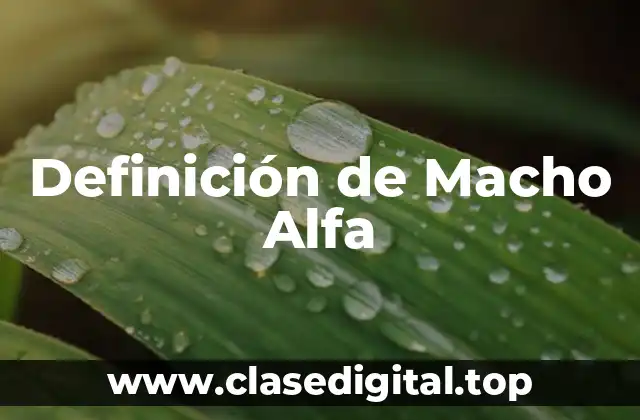 Definición Técnica de Macho Alfa