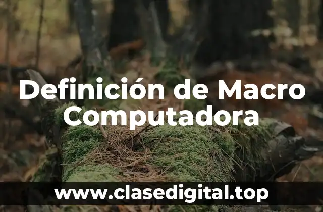 Definición de Macro Computadora