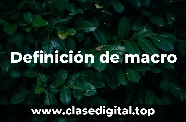 Definición técnica de macro