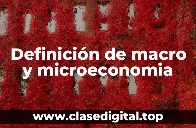 Definición de macro y microeconomia