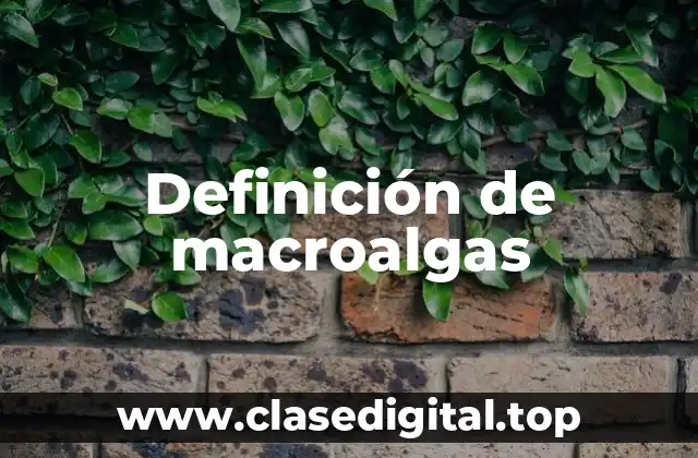 Definición de macroalgas