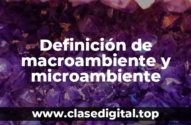 Definición de macroambiente y microambiente