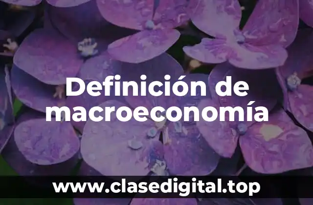 Definición de macroeconomía
