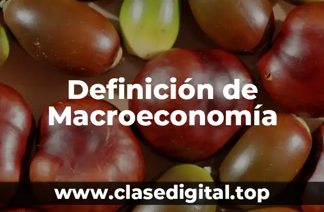 Definición técnica de Macroeconomía