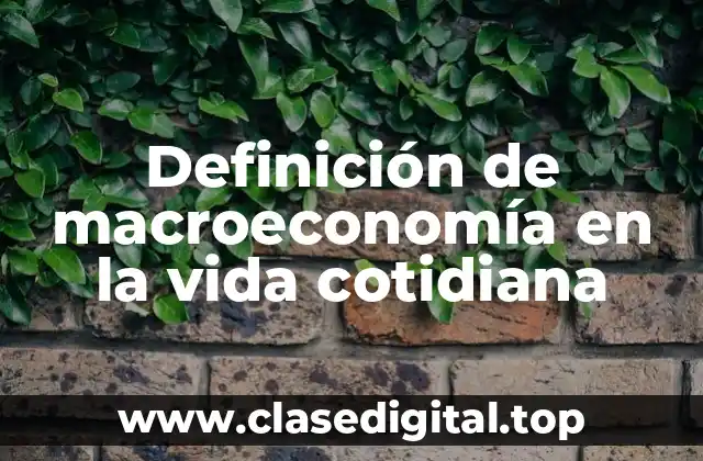 Ejemplos de macroeconomía en la vida cotidiana