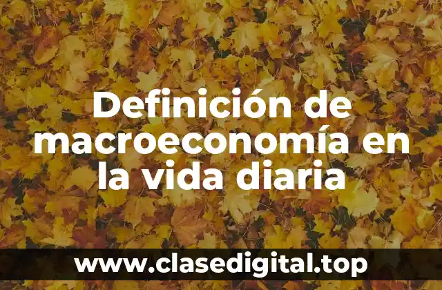 Definición de macroeconomía en la vida diaria