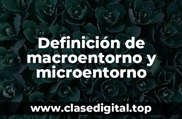 Definición de macroentorno y microentorno