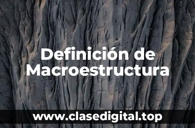 Definición de Macroestructura