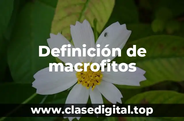 Definición de macrofitos