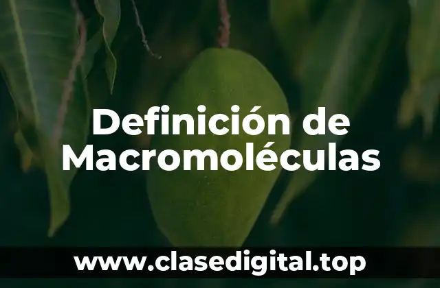 Definición técnica de Macromoléculas
