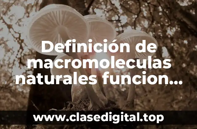 Definición de macromoleculas naturales funcion biologica quimica