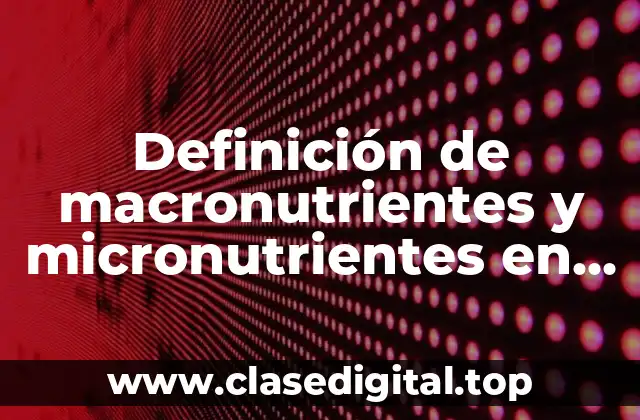 Definición de macronutrientes y micronutrientes en las plantas