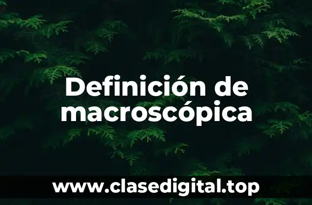 Definición de macroscópica