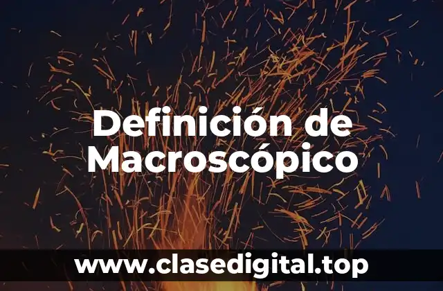 Definición de Macroscópico