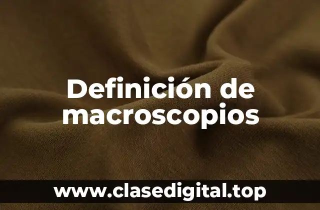 Definición de macroscopios