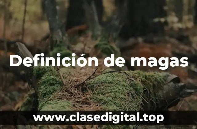 Definición de magas