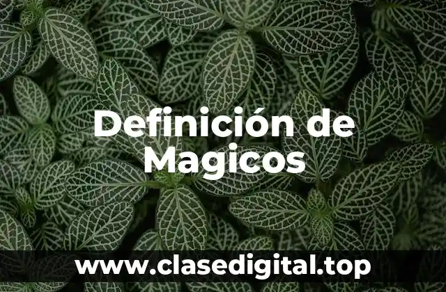 Definición de Magicos