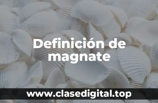 Ejemplos de magnates