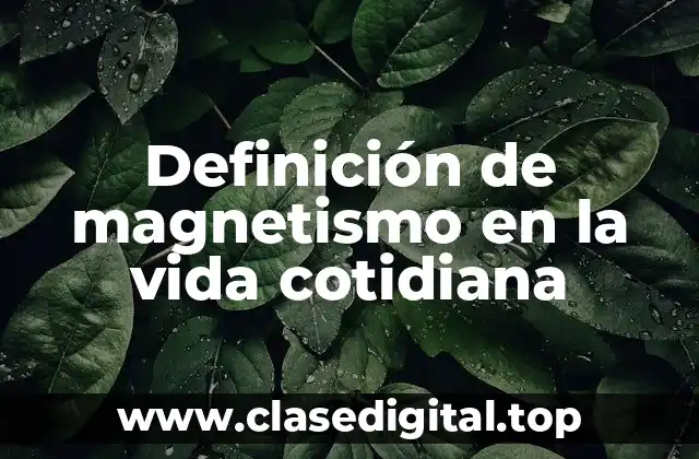 Definición de magnetismo en la vida cotidiana